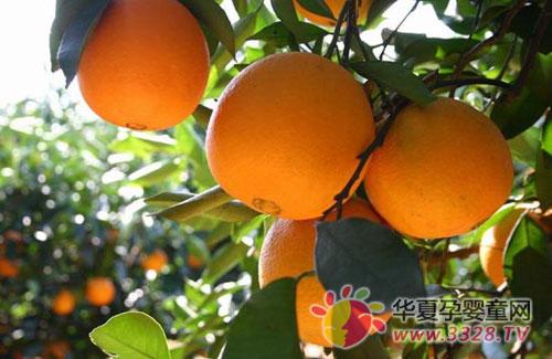 �Ը����������ЋD���ڷ���