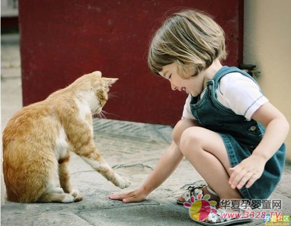 ��̙C�����J�롱��^(q��)�M������