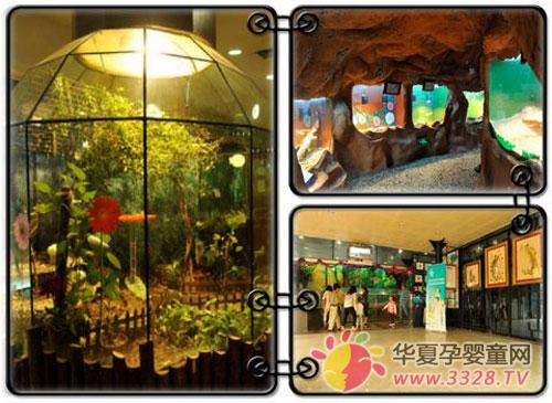 ʮһ�S�����������]��������ȥ������m��