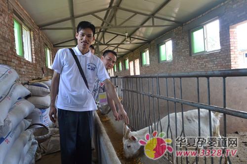 �Y�l�i���̷ۏV�|���˵ꃞ����������ط�