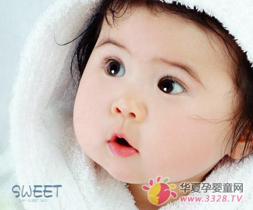 �����������֪�����׃��̷۵�ʳ�ý��ɣ�