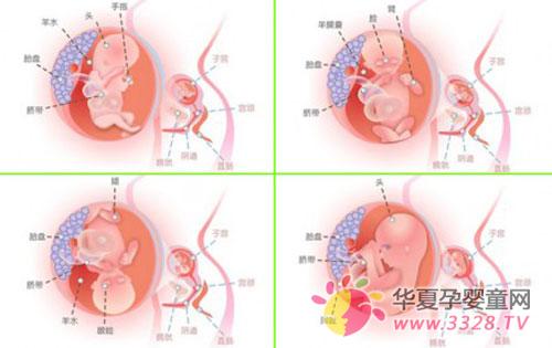 �Ă���̥���D��ʲô��