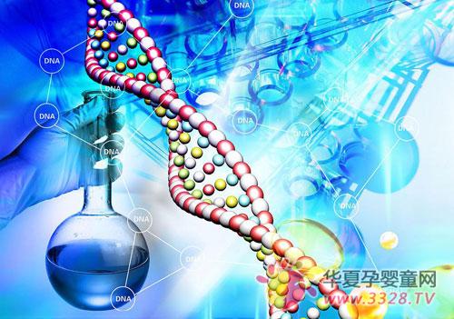 DNA�b��Ҫ�����X