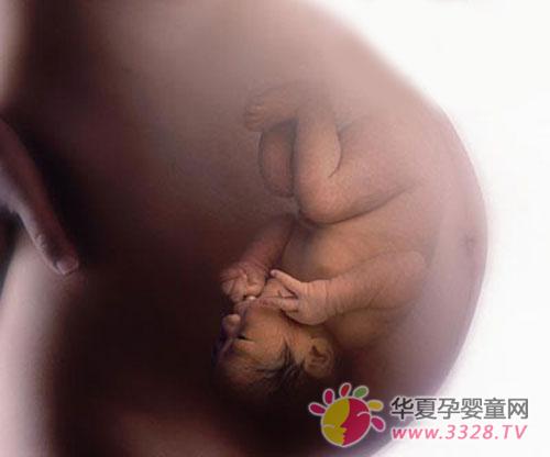 ̥��13�ܵ�׃��