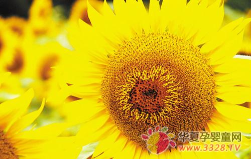 �ЋD��Ҫ�a�����\