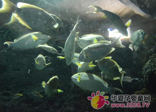 ��һ���������溣���^Ҳ�ǲ��e���x��