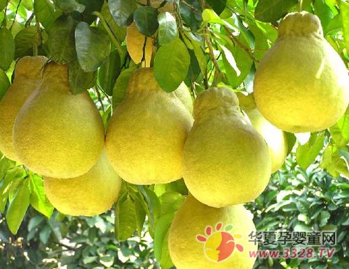 �ЋD�ܷ������