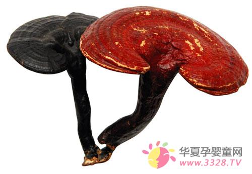 �ЋD���Գ��`֥��_��ʲô��̎