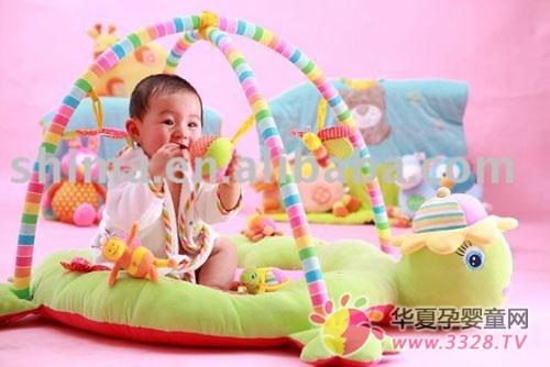 SHIMA��׌�Ї������w�l�_�������J�ɋ냺�aƷ