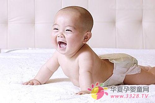 �o������׌���Č����ļ�������