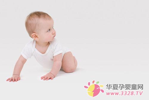 ţ���錚��Ҫ����