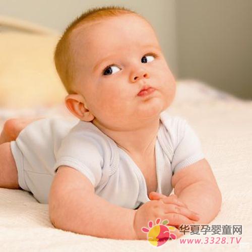 �o������һ��ι�oʳ��ԓιʲô