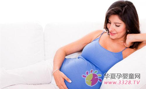 �ļ��Ћ�����ע����ЩƤ�w��