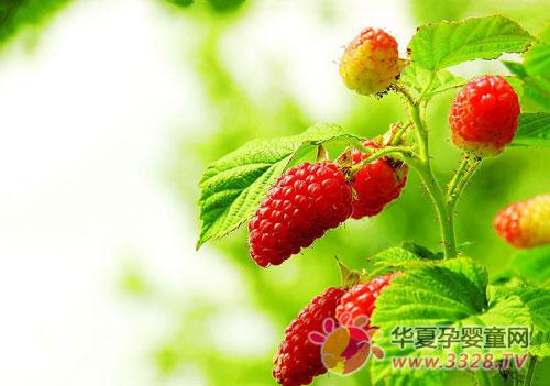�Ћ����^����~������Щ������
