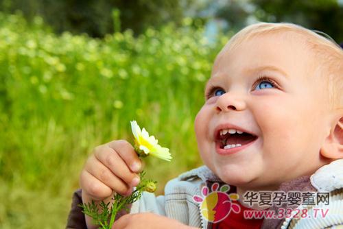 �����쌦������Ӱ�