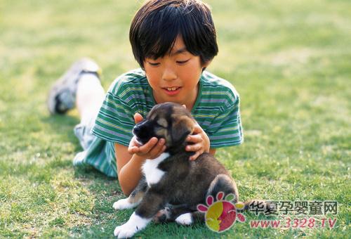 �����ڌW�g���g��Ҫ��Щ�S������