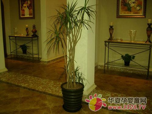 ݗ�䶼�[�����ă�