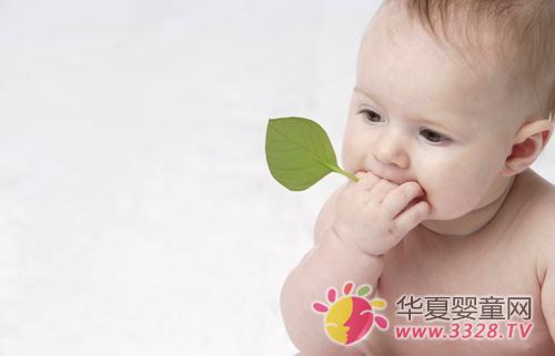 �냺���L����Ҫ�֎ׂ��A���M��