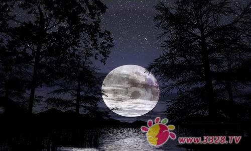�Ї��˸��ص����﹝�L��