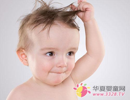 1�q�Ժ󌚌��w��呟�������