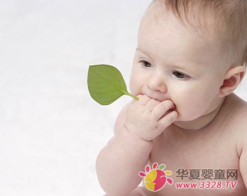 �냺�����l��8���r��