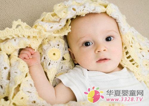 �Ћ��������׎���������