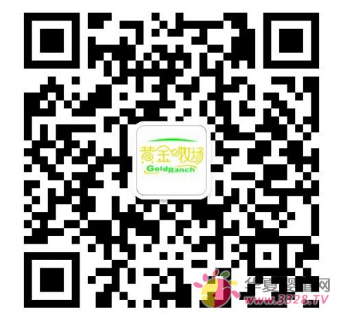 �S����������С�� �AԒ�M�� �����p�غöY
