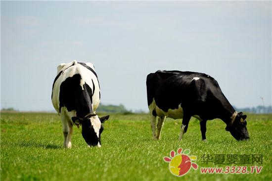 ���������^�����xُ�W���̷۱�֪